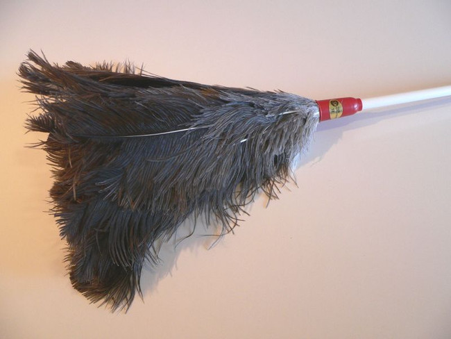 Duster Ostrich Feather No10 Csm