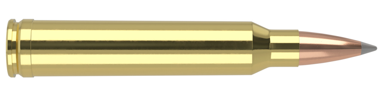 Nosler Trophy Grade .300 Win Mag 190gr AccuBond Long Range