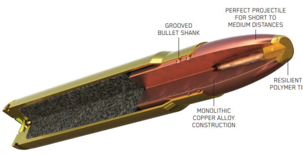 Federal Premium .30-06 Springfield 165gr Euro Copper