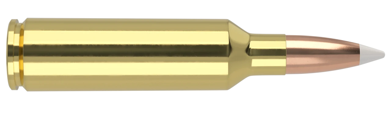 Nosler Trophy Grade 270 WSM 140gr AccuBond Long Range