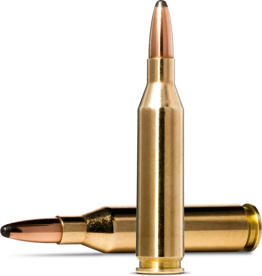 Norma Whitetail 243 Win, 100 gr, SP