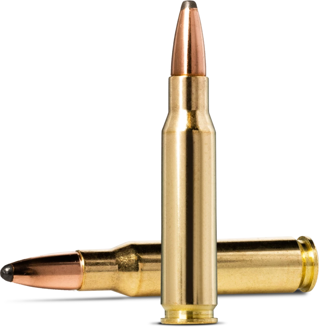 Norma Whitetail 308 Win, 180 gr, SP