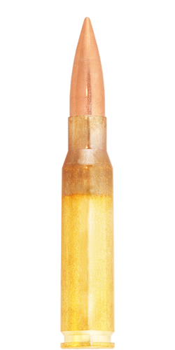 Lapua .308 Win. / 11.0 g (170 gr) Lock Base