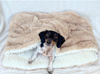 Minky Sherpa Pocket Bed 