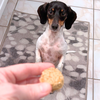 Lazy Dog Maple Bacon Kissies Dog Treats