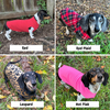 Dachshund Sweaters