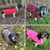 Dachshund Sweaters Red, Red Plaid, Leopard, Hot Pink
