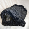 Dachshund Black Rose Minky Snuggle Bag