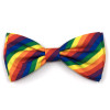 Rainbow Pride dog bow tie