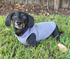 Dachshund Double Fleece Sweater Coats