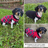 Dachshund Double Fleece Sweater Coats