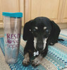 Rescue Love Repeat Thermal Insulated Tumbler