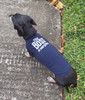 The Boss of Everything Dachshund Dog Shirt