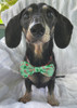 Christmas Dog Bow Ties Christmas Dog Bow Ties