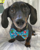 Christmas Dog Bow Ties Christmas Dog Bow Ties