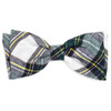 Scottish Gordon Tartan Plaid Dog Bow Tie