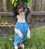 Sun Shield Dog Tee