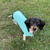 Sun Shield Dog Tank Tee
