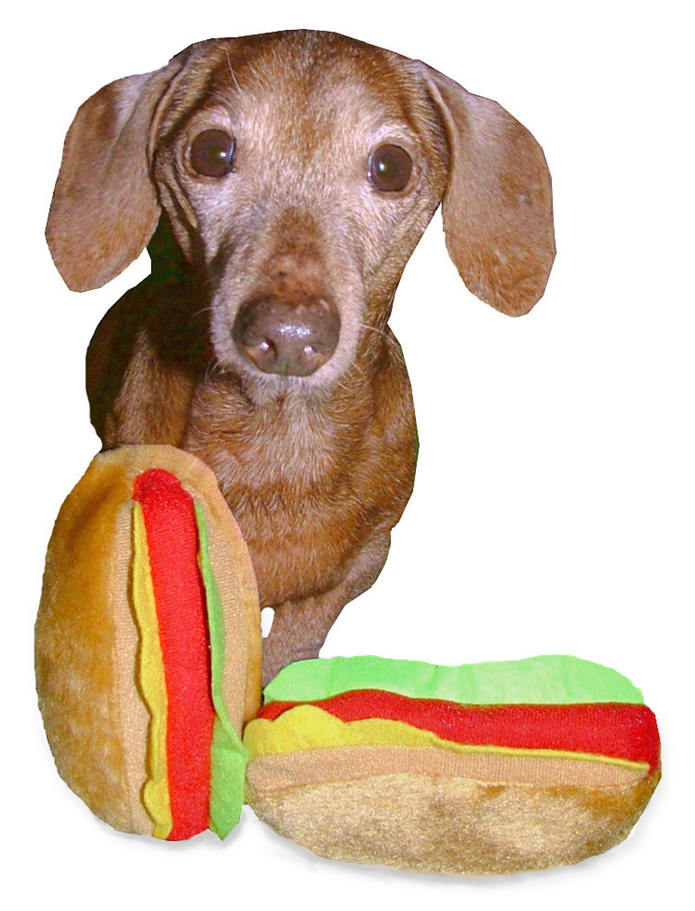 plush hot dog dog toy