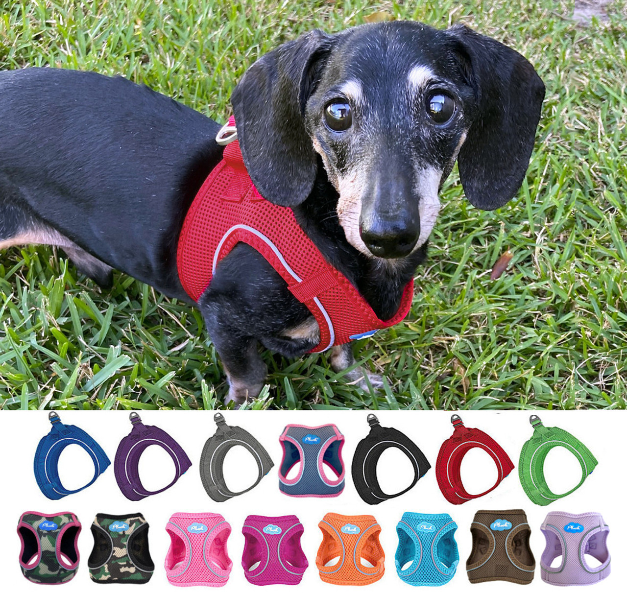 Dog Clothes, Dog Accessories, Dog Harnesses