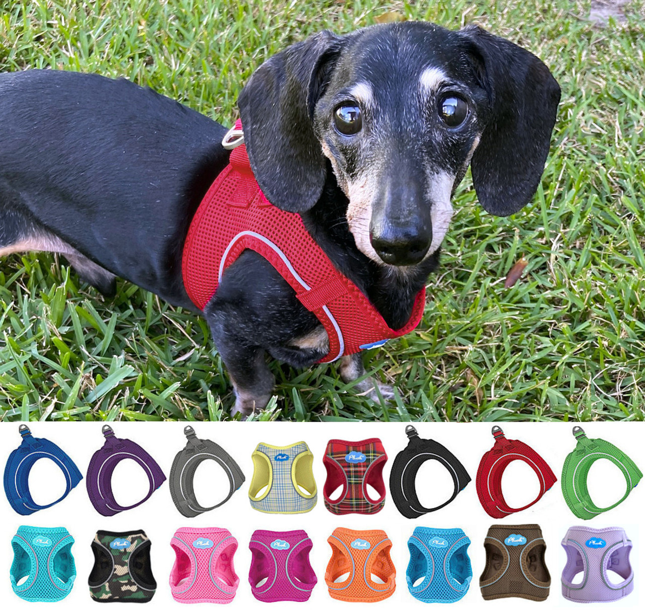 Plush Air Mesh Dachshund Harness - Main Image