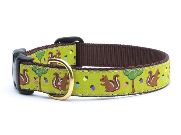 Squirrels Ribbon Dachshund Dog Collar and Leash