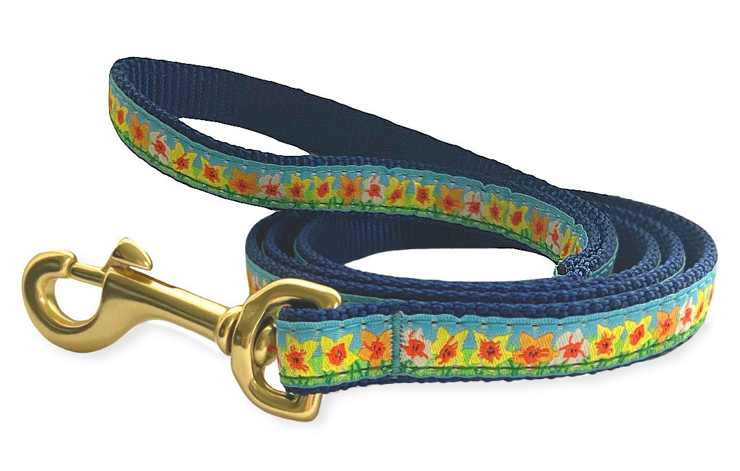 daffodil dog collar