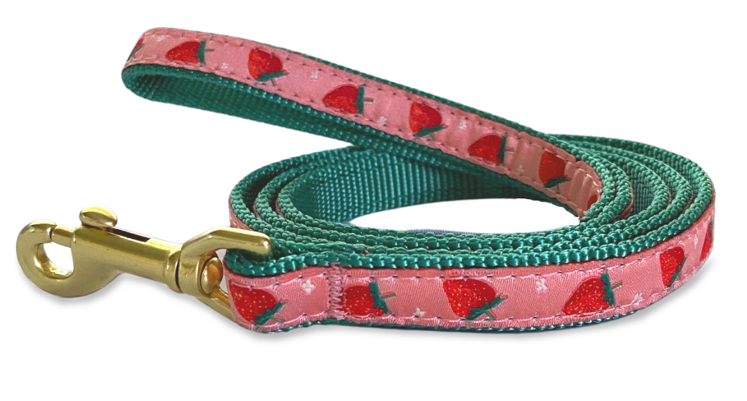 strawberry dog collar