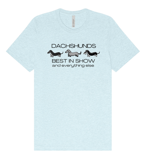 Dachshunds Best in Show and Everything Else T-Shirt