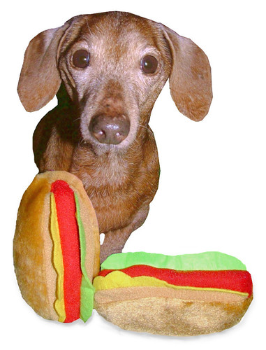 Hot Dog Dog Toy