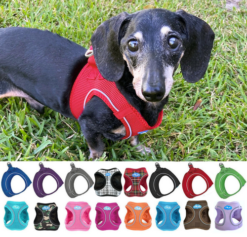 Dachshund Plush No Choke Dog Harness 