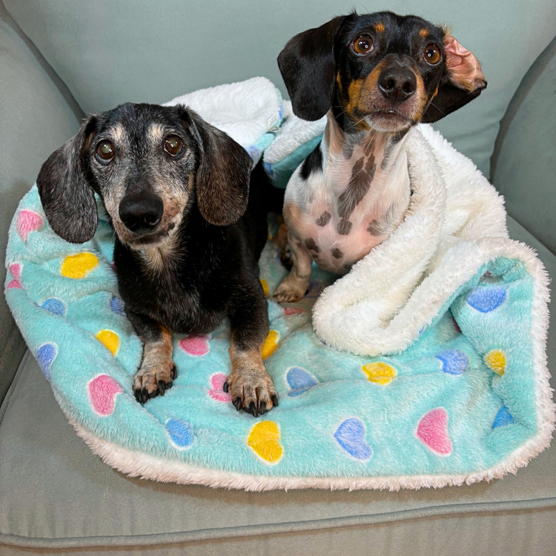 Pet blanket Trixie Jimmy Soft Light grey Polyester Plush 100 x 70 cm