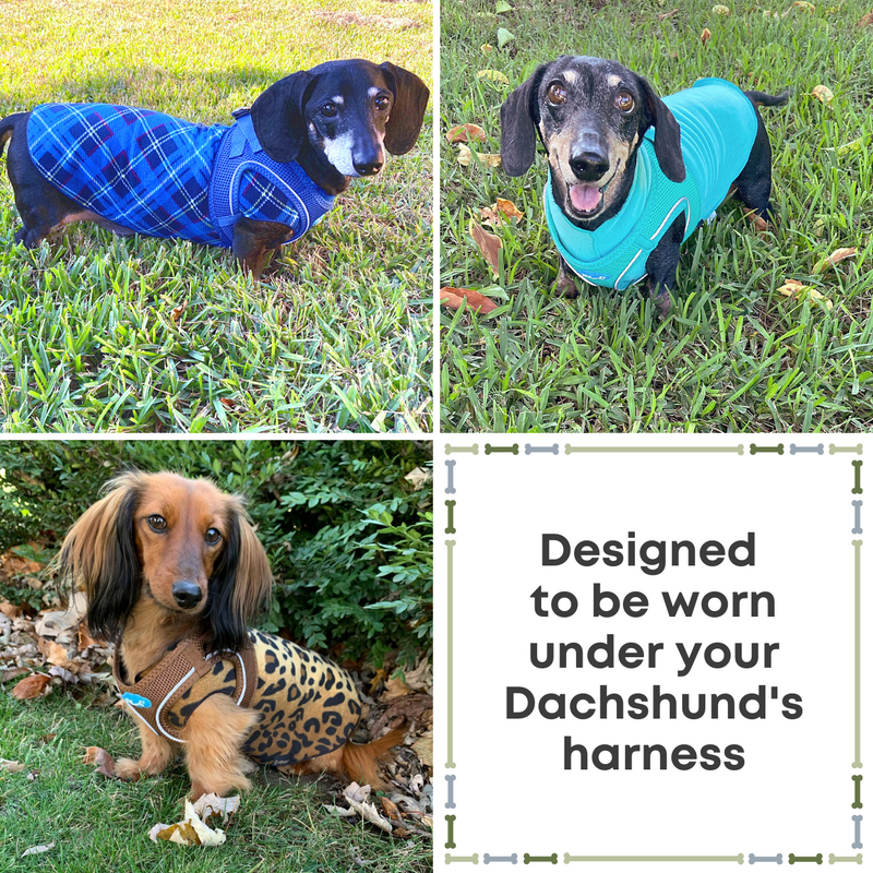 Chewy V Sweater  Premium Sweater Warmth for Your Dachshund