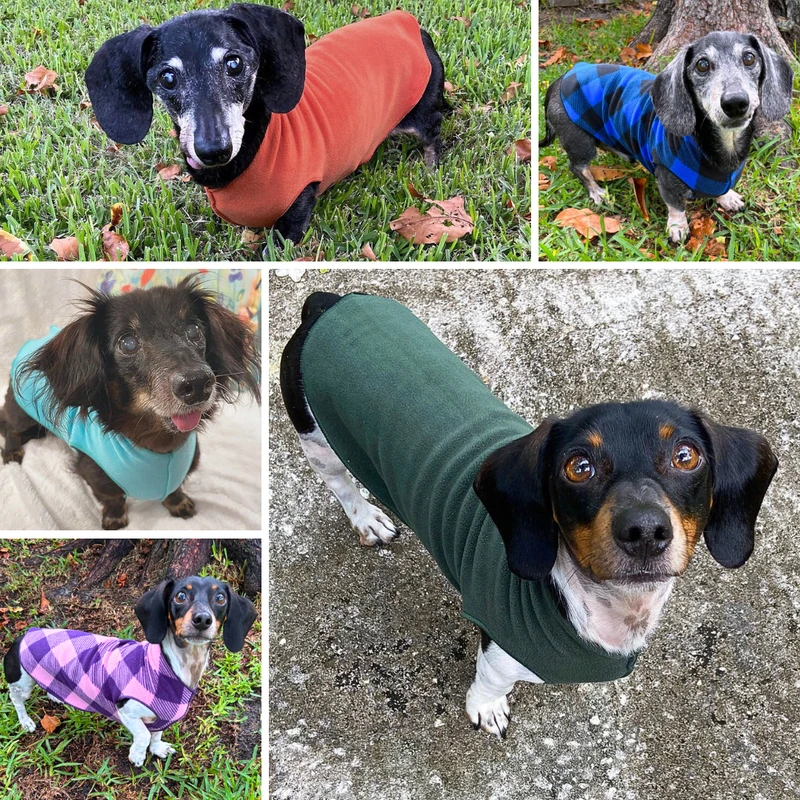 Dachshund Sweaters Plaids and Solids
