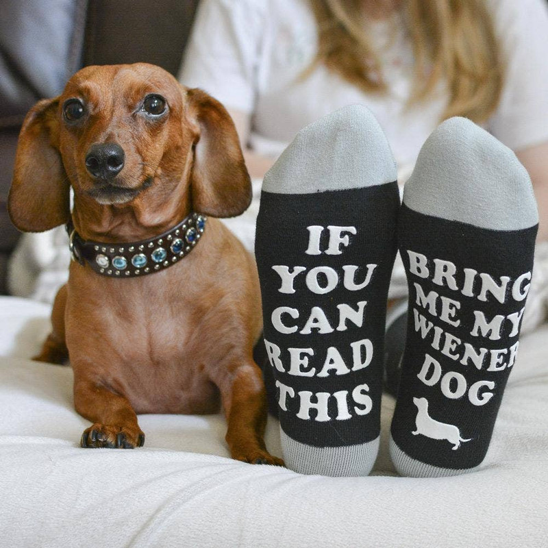 Bring Me My Wiener Dog Socks - What's Up Dox