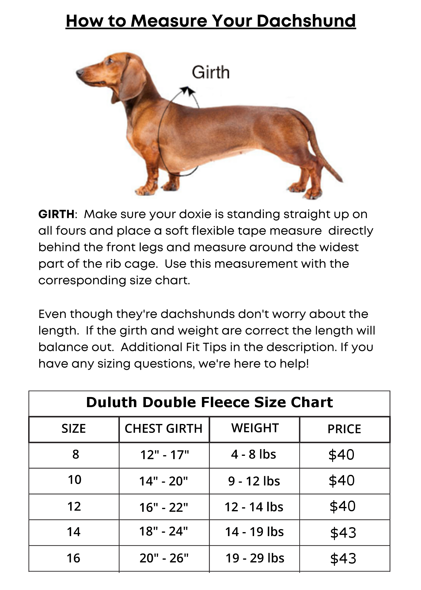 mini dachshund clothes size