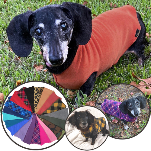 Chewy V Sweater  Premium Sweater Warmth for Your Dachshund