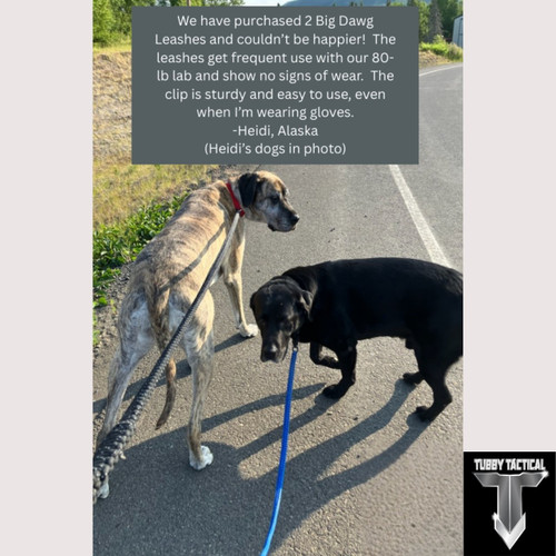 Customer review of Big Dawg Tactical Leash