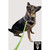 Super Heroes Tactical Big Dawg Leash