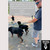 Pitbull Tactical Double Dawg Lead