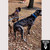 Great Dane Tactical Double Dawg Lead