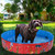 pet pool