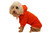 Fashion Plush Cotton Pet Hoodie Hooded Sweater