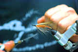 Intermediate Fly Tying Classes Starting Up