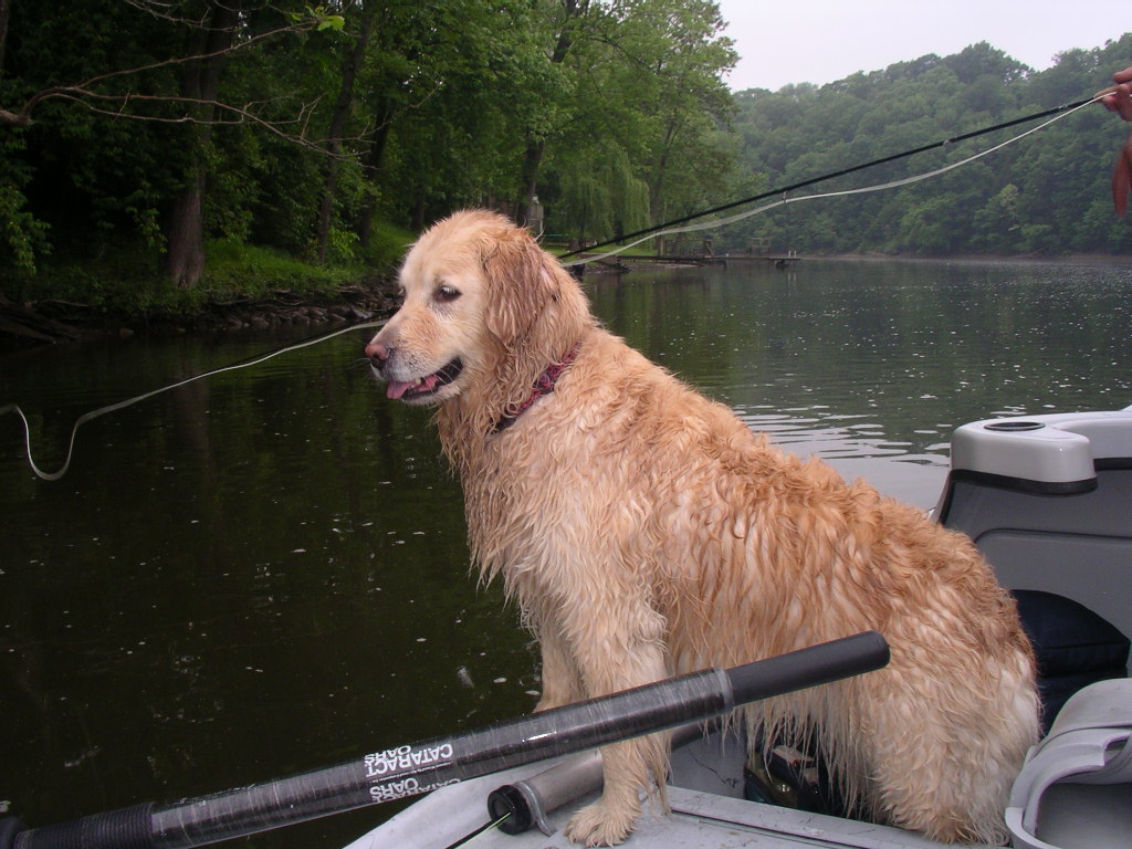 INTERMEDIATE FLY FISHING SCHOOL