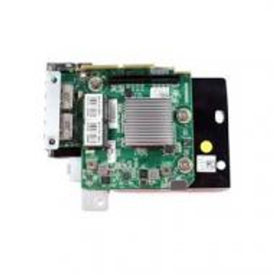 Dell Dual-Port 10Gb/s RJ45 Embedded Mezzanine for PowerEdge C5220 server - high-speed connectivity for data transfer