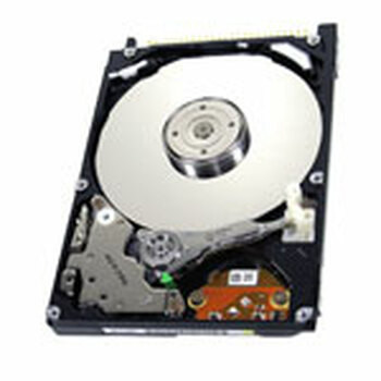 IBM 4GB 4200RPM 2.5 ATA-33 Hard Drive for Laptops