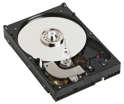 NetApp 250GB 7200RPM ATA-133 3.5 Hard Drive for Servers