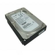 Seagate Constellation 1TB SAS Hard Disk Drive for Servers - ST31000425SS