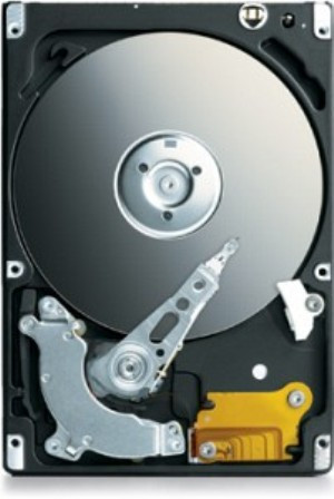 Supermicro 250GB 7200RPM SATA 3Gb/s 16MB Cache 2.5-Inch Hard Drive compatible with servers